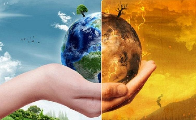 Conservar el Medio Ambiente – Blog